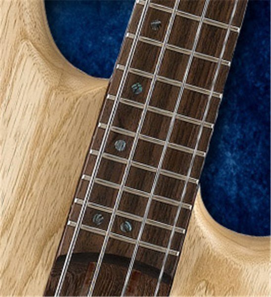 CORT - B4 OPN