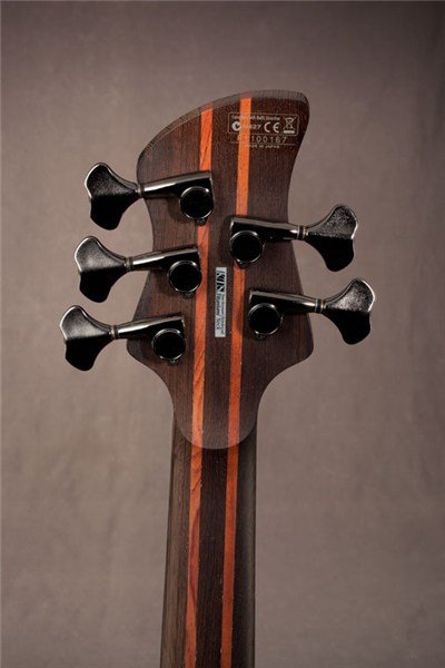Ibanez - G105 DE