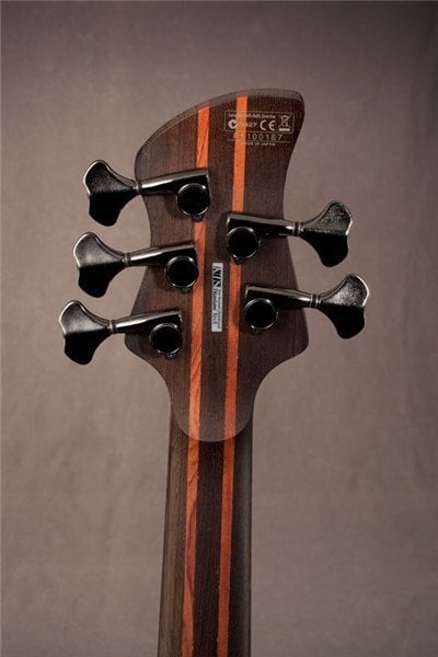 Ibanez - G105 DE