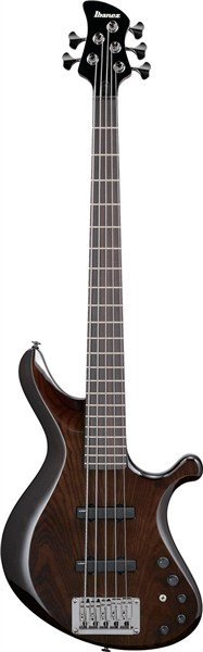 Ibanez - G105 DE