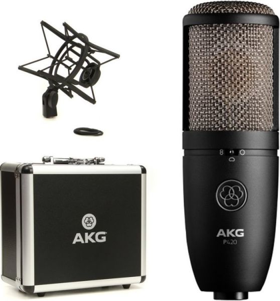 AKG Perception 420 Omni Directional Home Studio Kayıt Mikrofonu