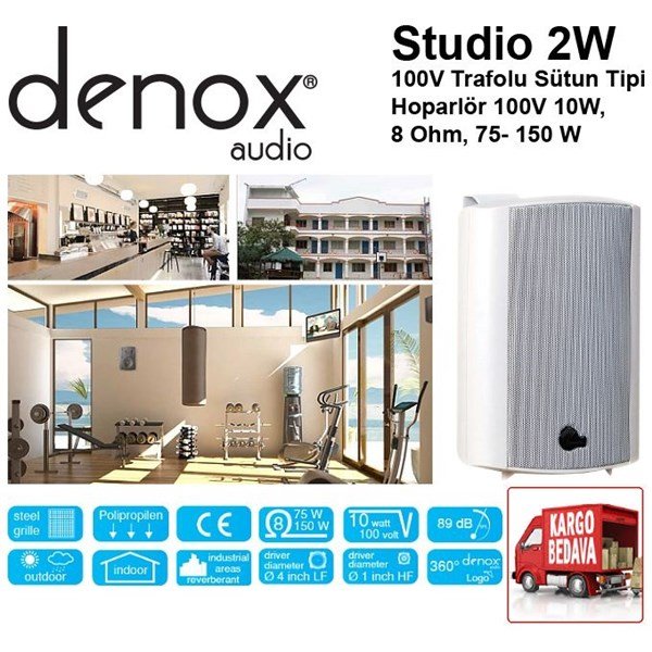 Denox Studio-2W 4 inç 150 Watt Hat Trafolu Duvar Tipi Sütun Hoparlör