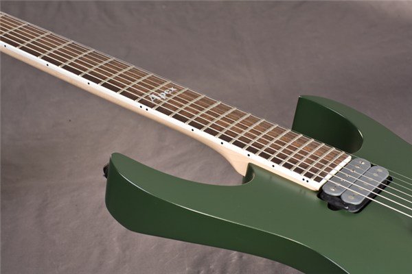 Ibanez - APEX2 GSF
