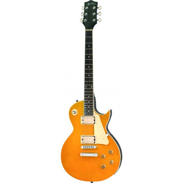 Jay Turser JT220 GT Elektro Gitar