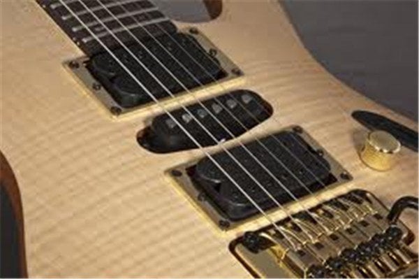 Ibanez - EGEN8 PLB
