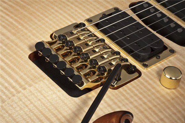 Ibanez - EGEN8 PLB
