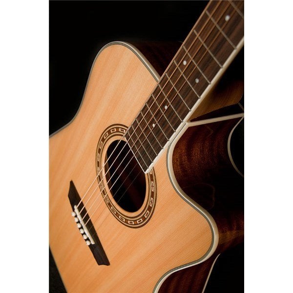 Washburn WD10SCE