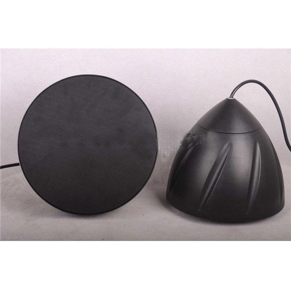 Denox LS 333 BLACK 40W 100V/8 ohm Fashion Handing Speaker