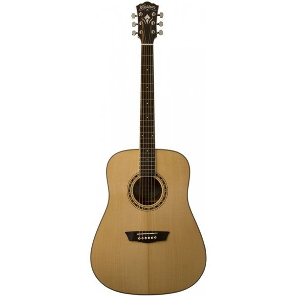 Washburn WD10