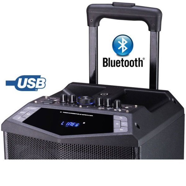 Oyılıty DK-15 400 Watt Bluetooth Şarjlı Taşınabilir Hoparlör + Çift El Mikrofonu