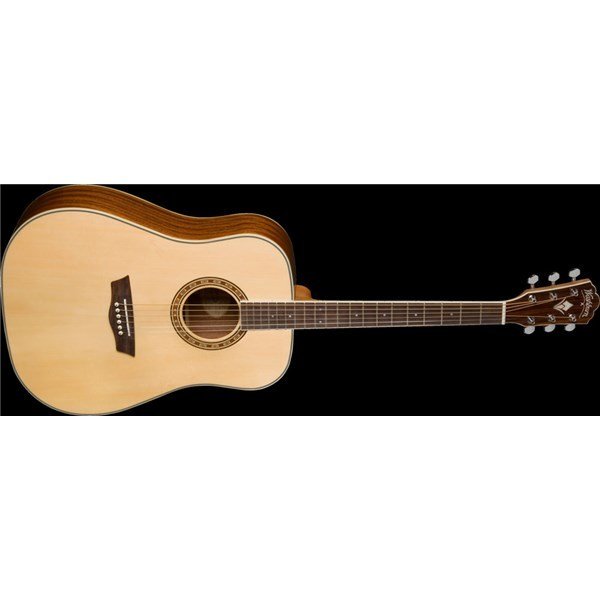 Washburn WD10S