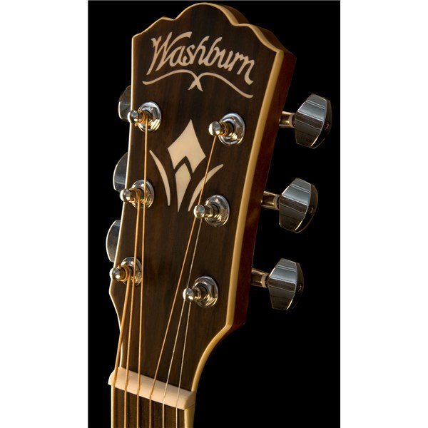 Washburn WD10S