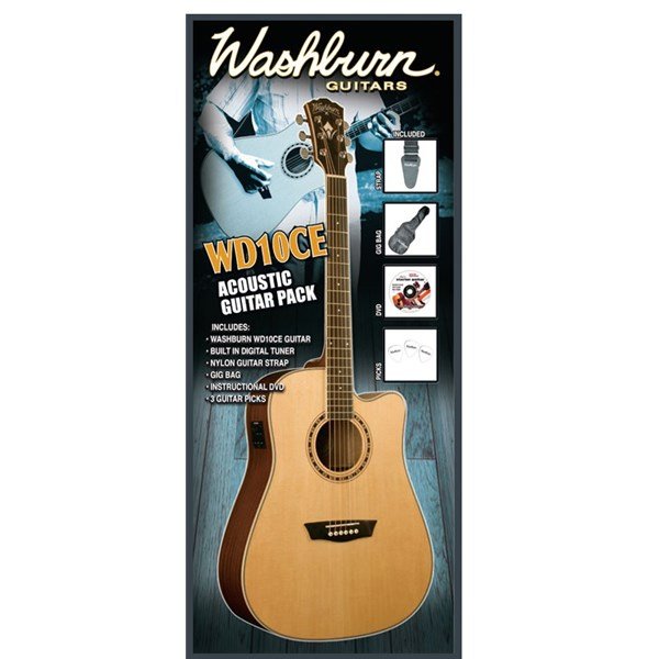 Washburn WD10CE