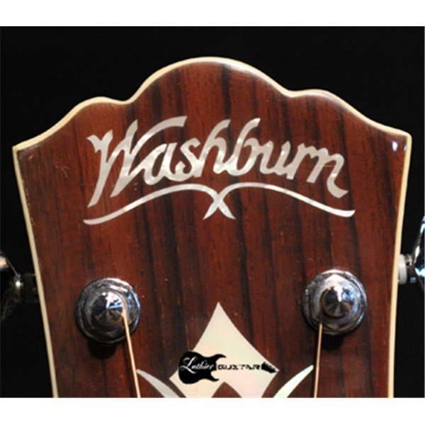 Washburn WD10CE