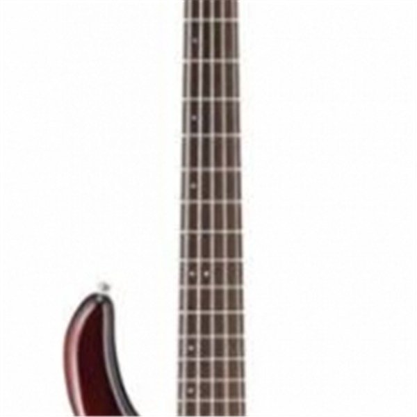 CORT - AB5 AC WS