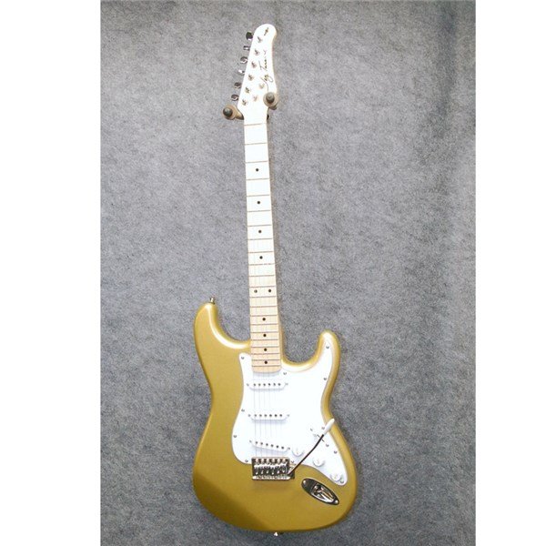 Jay Turser JT 300 SHG Elektro Gitar
