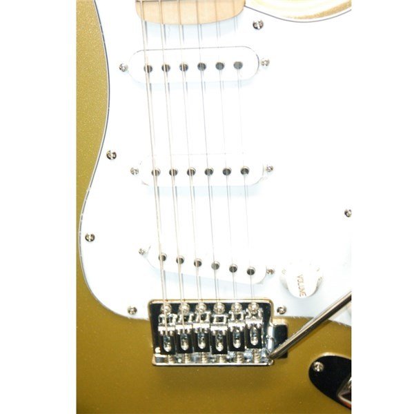 Jay Turser JT 300 SHG Elektro Gitar