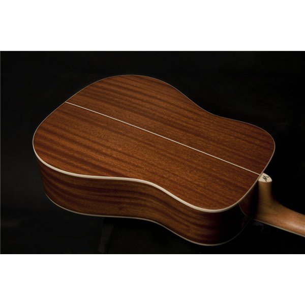 Washburn WD10SLH