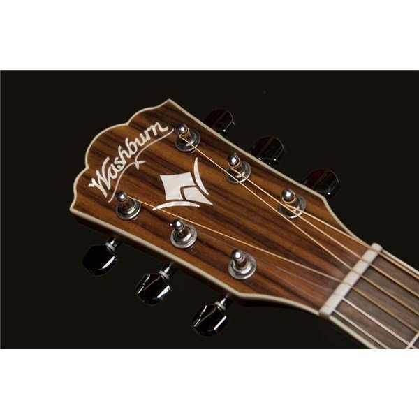 Washburn WD10SLH
