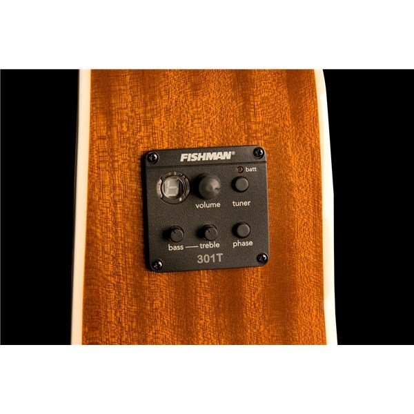 Washburn WD10SCE 12