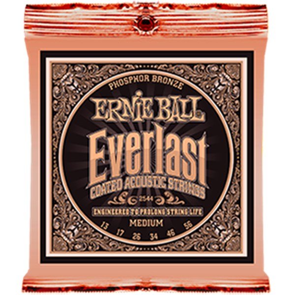Ernie Ball P02544 Everlast Akustik Gitar Teli