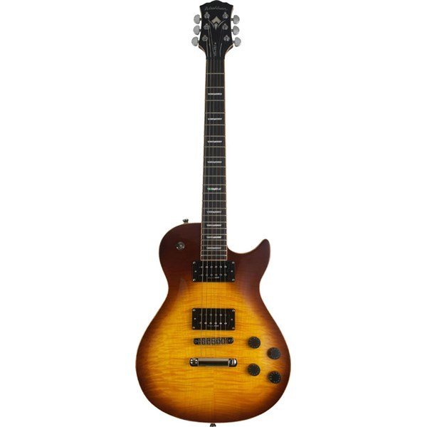Washburn WINPROFTSB