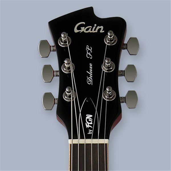 FGN - Gain Deluxe Flame Series DFL-R1 Elektro Gitar