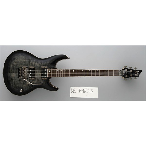 FGN - Gain Deluxe Elan Serisi DEL-FM-TR
