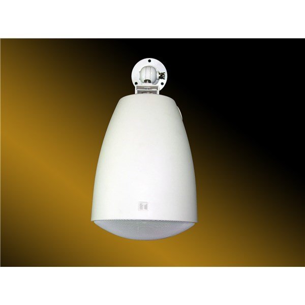 Toa PE-304 12 cm 100V/ 6W-3W İndoor Tavan Askı Tipi Hoparlör