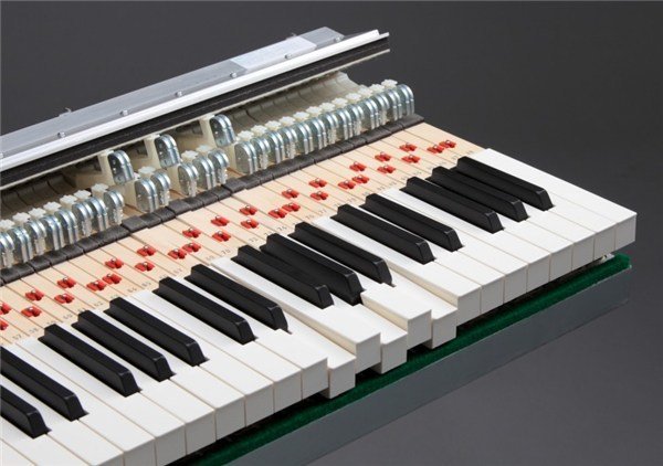 Kawai CN23 R Dijital Piyano