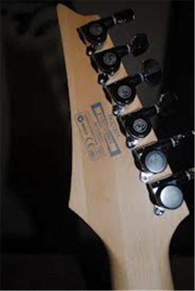 Ibanez RGD321 BKF Elektro Gitar