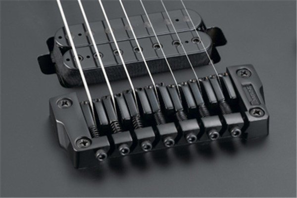 Ibanez RGD7421 BKF Elektro Gitar