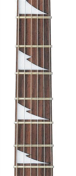Ibanez GRG170DX-JB Elektro Gitar