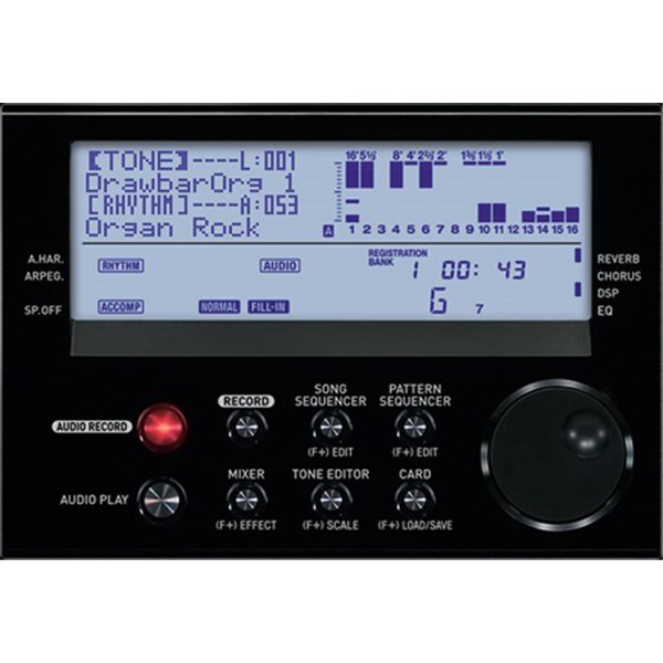 Casio WK6600 Org