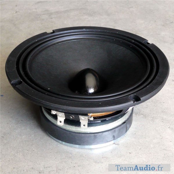 SICA 6E 1,25 CS 6 inç 60/120W Mid/Bass Çıplak Hoparlör