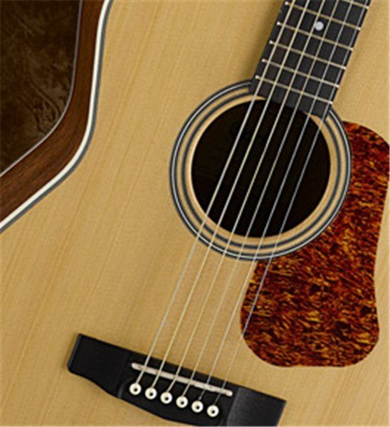 CORT - L100 CNS