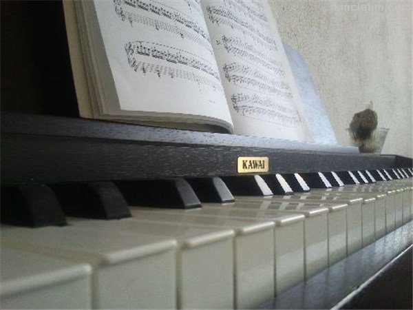 Kawai CL25R Dijital Piyano