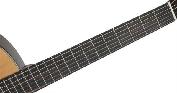 CORT - CEC7 NAT