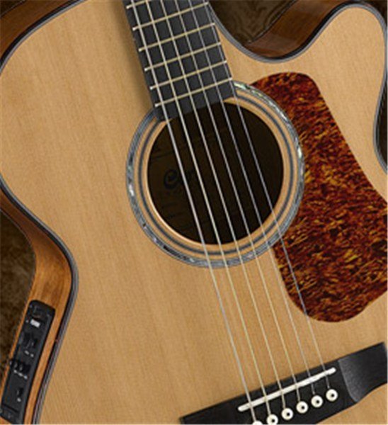 CORT - L500 F NAT