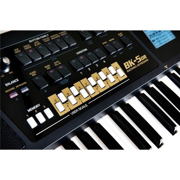 Roland BK5 OR Turk Sesli ve Ritmli Klavye