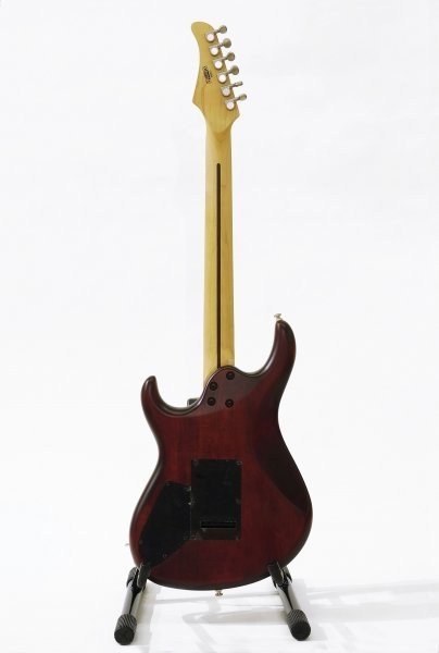 CORT - G254 WS