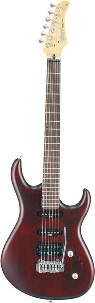 CORT - G254 WS