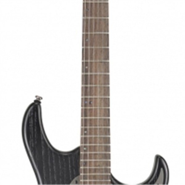 CORT - G260 OPB