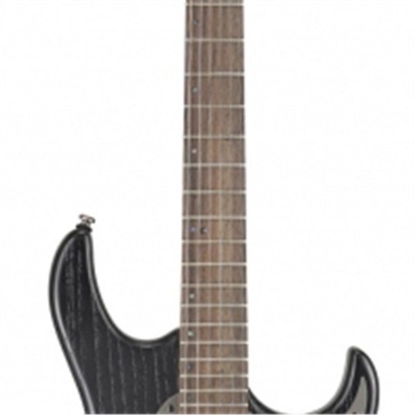 CORT - G260 OPB
