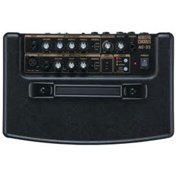 Roland AC-33 RW