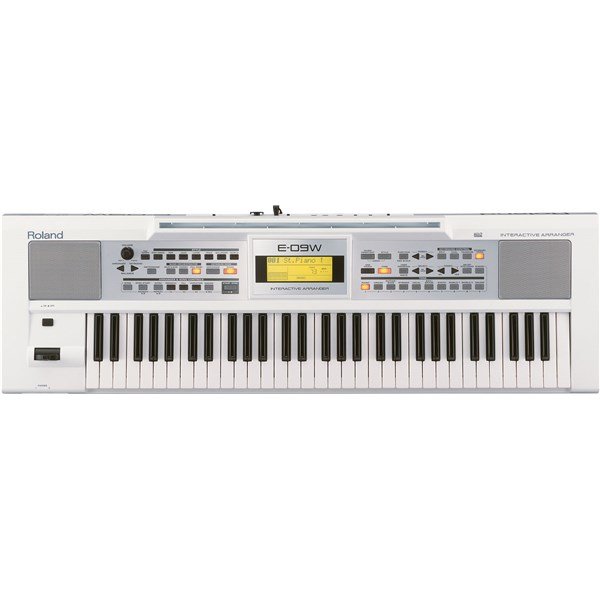 Roland E-09W İnteractive Arrenger Klavye