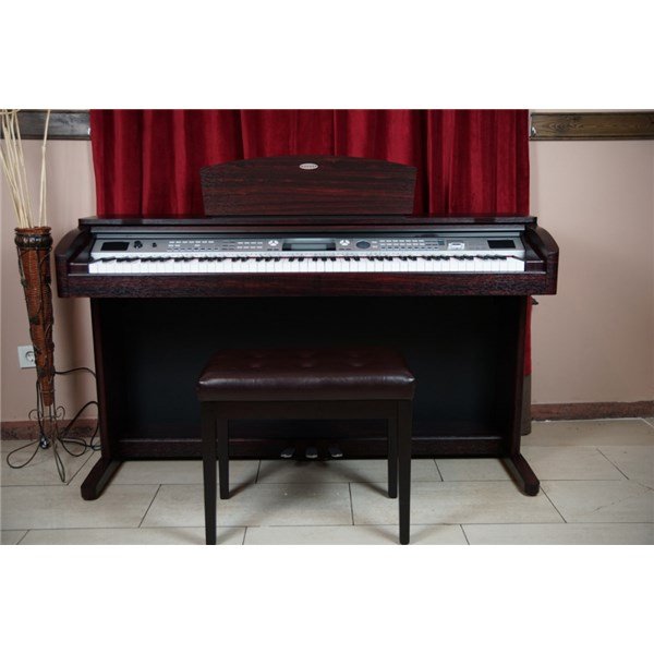 Werner WD100 DR Dijital Piyano
