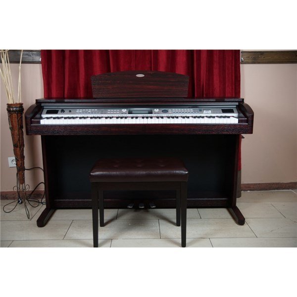 Werner WD100 DR Dijital Piyano