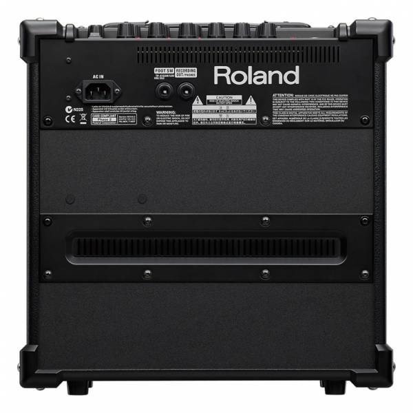 Roland CUBE-20GX