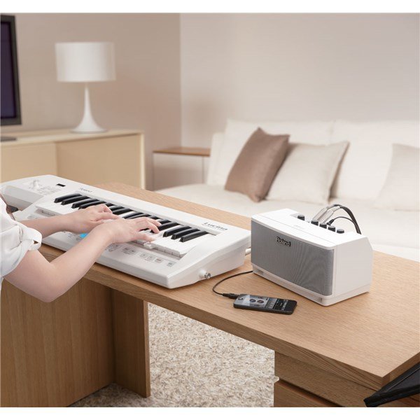 Roland CUBE-LM-WH